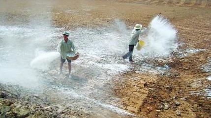 Sản xuất vôi bột vôi cục vôi củ