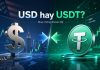 Nên Mua Chứng Khoán Mỹ Bằng USD Hay USDT